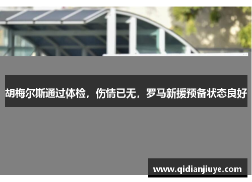 胡梅尔斯通过体检，伤情已无，罗马新援预备状态良好